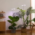thumbnail image 3 of Growth Lamp,Potted Plant Fill Plant Floor Lamp On/off 3/9/12h 10 Auto On/off 3/9/12h Lamp Floor Model Indoor Adjustable With Led Indoor Adjustable Fill 3/9/12 10 3/9/12h 10 Dimmable With Auto On/off, 3 of 7