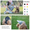 thumbnail image 3 of Pet Baseball Cap with Ear Holes - Lightweight Dog Sun Hat for Summer Outdoor Activities & Travel, 3 of 5