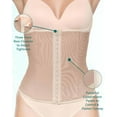 thumbnail image 2 of Bellefit Abdominal Cincher Posture Corrector Core Support Curvy Corset Shaper, 2 of 8