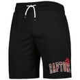 thumbnail image 2 of Men's Tommy Jeans Black Toronto Raptors Mike Mesh Basketball Shorts, 2 of 3