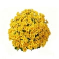 thumbnail image 3 of Artificial Fall Flowers Outdoors, 10 Bundles Autumn Fake Plants Faux Silk Plastic Flowers Fall Decorations for Home Indoor Outside Yard Garden Porch Patio Autumn Harvest Decor, Multicolor, 3 of 3