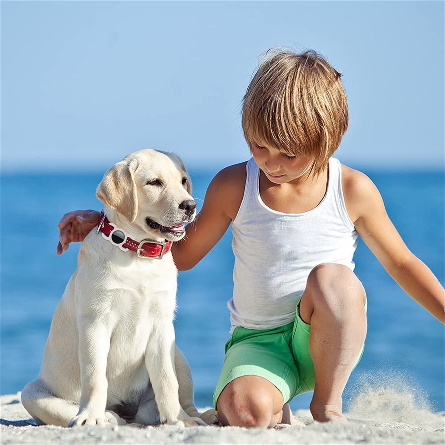 Pefilos Silicone Case Compatible with Airtag Dog Collar Holder for Tags, Protective Cover for Pet Strap Band, Slide On Sleeve Compatible with Apple Airtag Dog Collar Holder for Small Dogs Pefilos Silicone Case Compatible with Airtag Dog Collar Holder for Tags, Protective Cover for Pet Strap Band, Slide On Sleeve Compatible with Apple Airtag Dog Collar Holder for Small Dogs