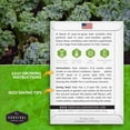 thumbnail image 3 of 5 Packs Garden Blend Kale Seeds - Non-GMO Heirloom Full Sun Biennial Vegetable, 3 of 6