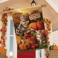 thumbnail image 4 of Briarwood Lane Fall Kittens Pumpkins House Flag, 4 of 4
