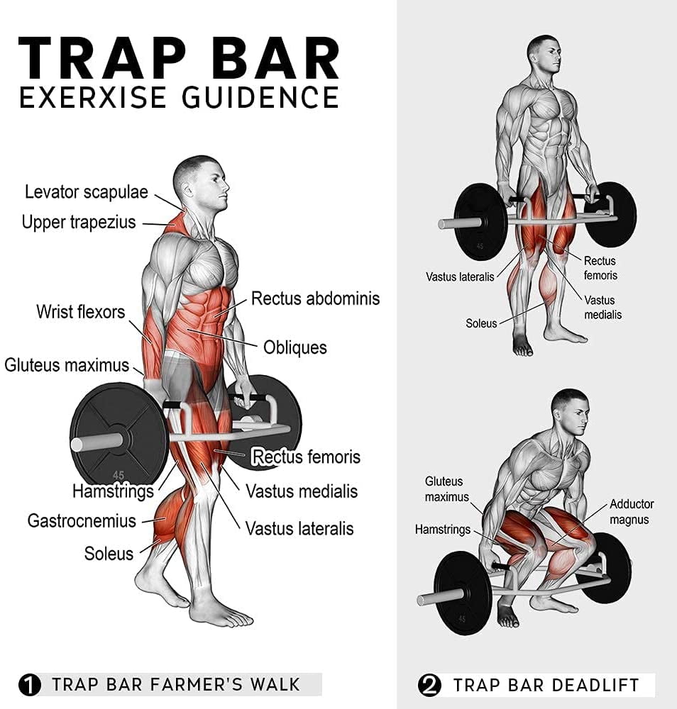 Hex Bar Deadlifts Ubicaciondepersonas cdmx gob mx hex-bar-deadlifts-ubicaciondepersonas-cdmx-gob-mx