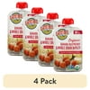 (4 pack) Earth's Best Organic Stage 2 Baby Food, Banana Raspberry Barley Fruit & Grain Puree, 3.5 oz Pouch