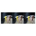 thumbnail image 1 of Guardurnaity 2 pares de anteojos con punta antideslizante, agarres para las orejas, gancho de silicona para las orejas, gafas cómodas, Kit de soporte para Type1 NO1 Guardurnaity CBP007464, 1 of 6