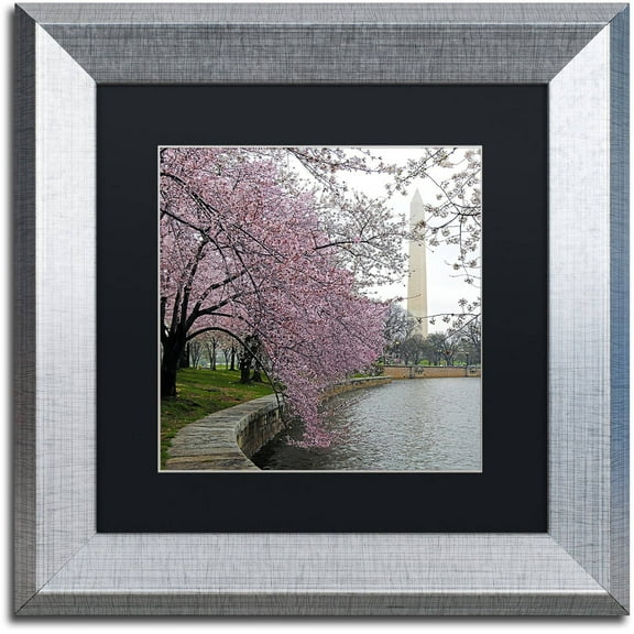 Trademark Fine Art "Washington Blossoms" Canvas Art by CATeyes, Black Matte, Silver Frame