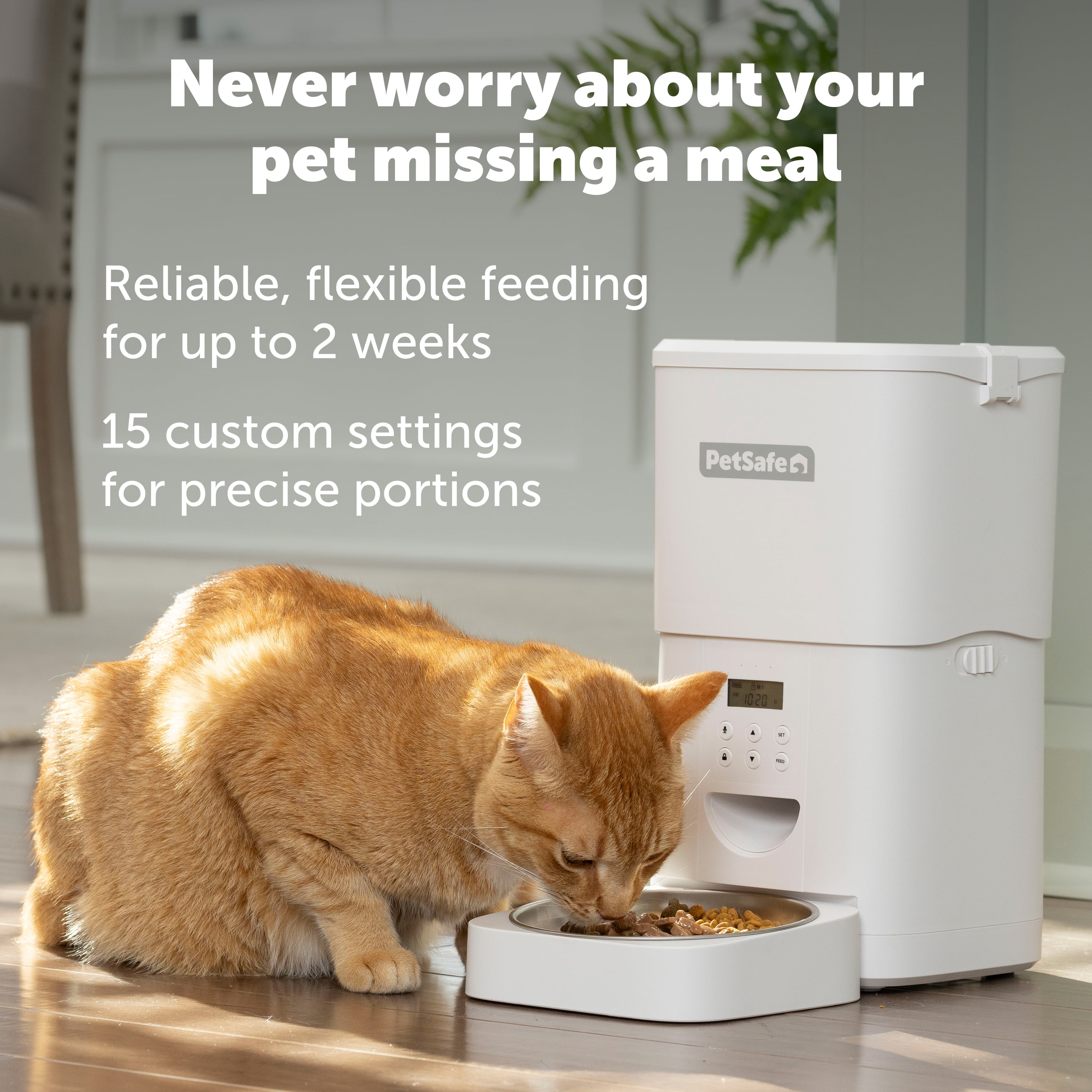PetSafe FlexFeed Automatic Pet Feeder, 8-cup/2L – Timed Cat and Small Dog Feeder with Portion Control, White