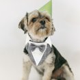 thumbnail image 3 of KAKOWELY Esmoquin formal para perro, cómodo traje de boda para perro, ropa formal decorativa para perro, ropa para mascotas, 3 of 5