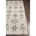 thumbnail image 2 of Momeni Generic Printed Contemporary Area Rugs, Off-White,3' X 2', 2 of 4