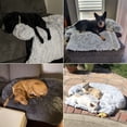 thumbnail image 4 of CHONGFA Large Removable Plush Dog Bed with Non-Slip Bottom, Solid Gray, 4 of 6