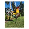 thumbnail image 1 of Estatuas y esculturas de gallo de jardín, gallos de metal, animales de jardín, decoración de arte de césped, estatua de arte al aire libre, patio, patio trasero y decoración de cocina familiar, 1 of 5