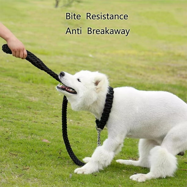 Dogstory Nylon Dog Harness Leash For Medium Large Dogs Leads Pet Training Running Walking Safety Mountain Climb Dog Leashes Ropes Supply Other Diamete