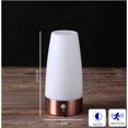 thumbnail image 3 of ZHAOCHENG Luz nocturna LED retro para el hogar, pequeña luz LED inalámbrica con sensor de movimiento PIR para interiores y exteriores, funciona a pilas para dormitorio, pasillo y cocina., 3 of 5