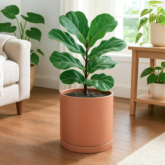 D'vine Dev Large 10 Inch Terracotta Plant Pot with Drainage Hole and Saucer, Round Cylinder Planter Pot for Indoor Plants