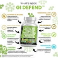 thumbnail image 3 of Clean Nutraceuticals Slippery Elm Psyllium Husk Pre Probiotic Digestive Gut Health Supplement with Aloe Vera Cascara Sagrada Marshmallow Root DGL Licorice Senna Extract, 3 of 9