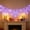 Purple, variant on Snmubt Halloween Spider Web String Lights, LED USB Powered Waterproof Cobweb Lights for Indoor Outdoor Yard Garden Party Decor