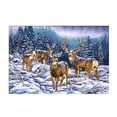 thumbnail image 1 of Cross Stitch Embroidery DIY Handwork Embroidery Set - Motif for 14CT, 1 of 8