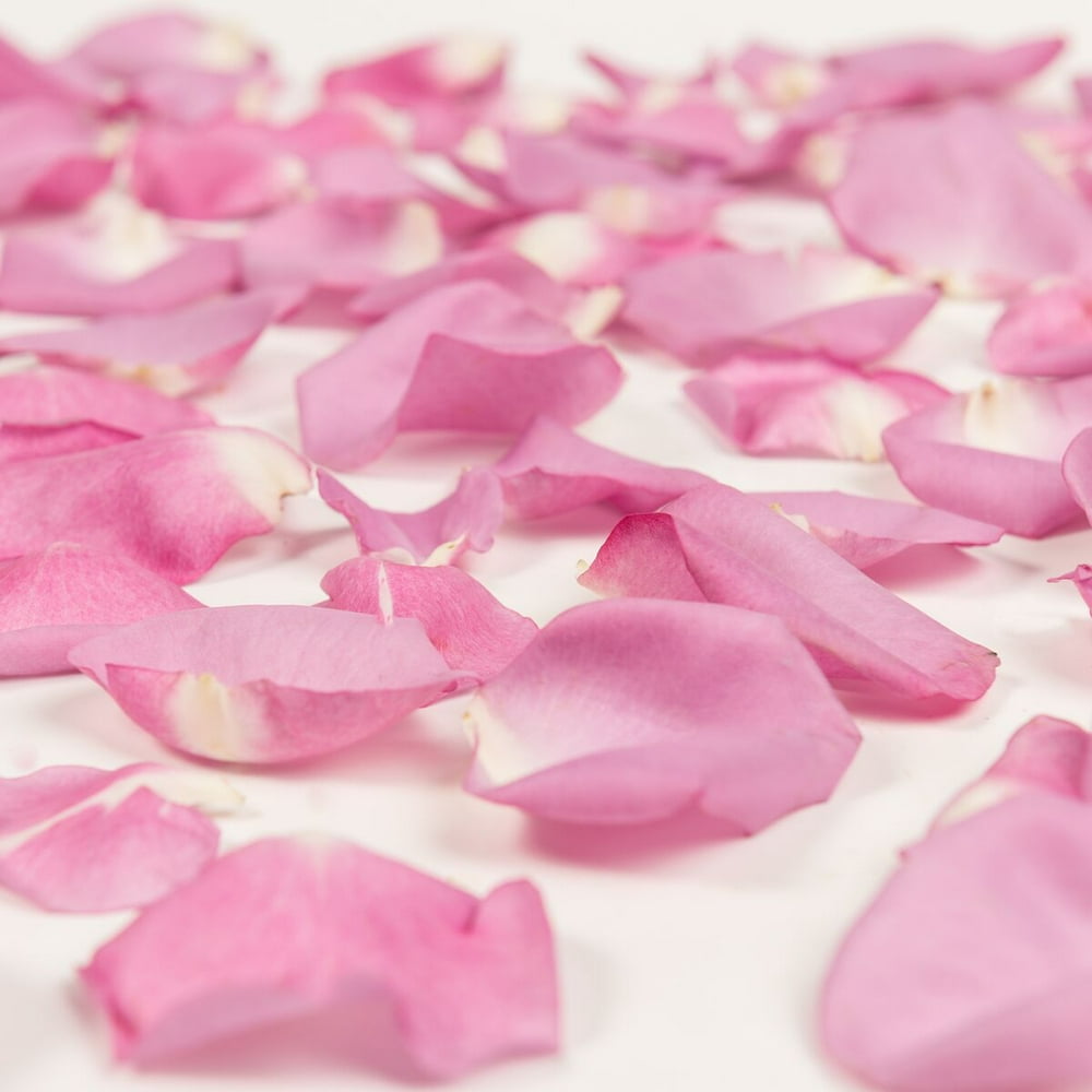 Lavender Rose Petals Approximately 3000 Units