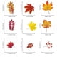 thumbnail image 5 of 6 sheets Autumn Leaf Window Stickers - Vibrant Fall-Themed Decals for Seasonal Home Decor Classic PVC Static Cling Panels, 5 of 5