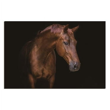 Oppidan Home "Pensive Mare" Acrylic Wall Art (32"H X 48"W)