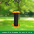 thumbnail image 4 of Songbird Essentials Thistle Bird Feeder Yellow Bird Seed Finch Feeder, 1/2 lb. Capacity, 4 of 8
