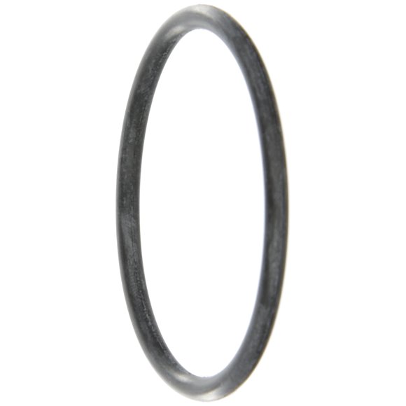 Banjo LST100-G Joint EPDM pour Crépine en T, 3/4 - 1 Pouces