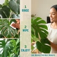 thumbnail image 3 of Leaf Cleaner Wipes for House Plants - Sparkling Leaf Shine for Indoor Plants - Houseplant Resource Center Plant Cleaning Wipes for Leaves - Root and Plant Duster Wipes 30 Count, 3 of 9