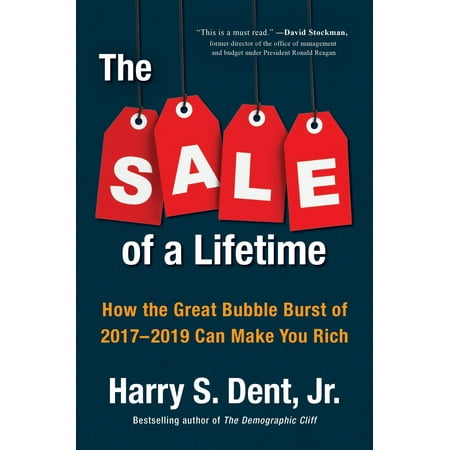 The Sale of a Lifetime : How the Great Bubble Burst of 2017-2019 Can Make You