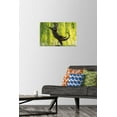 thumbnail image 2 of The Comedy Wildlife Photography Awards: Otter Kwek - Ballerina Wall Poster with Push Pins, 14.725" x 22.375", 2 of 4