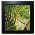 thumbnail image 1 of photography picture nature Black Square Frame Picture Wall Tabletop, 1 of 3