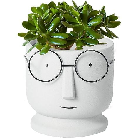 Creative Glasses Face Plant Pots Cactus Pots For Home Office Wedding Decor,Face Planter Planter Cement Flower Pots,Small Ceramic Succulent Pot-White Gray 16.7x16.7x16.7cm(7x