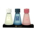 thumbnail image 4 of Vivience Fol Cone Oil Reed Diffuser Set Assorted Aromatherapy Diffuser Home Decor, 3 Pack, 4 of 4