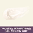 thumbnail image 4 of Crema de noche Aveeno Absolutely Ageless 50 ml con mora, 4 of 7