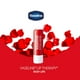 thumbnail image 3 of Bálsamo labial Vaseline Lip Therapy Rosy Lips, paquete de 12 unidades, 4,7 ml, 3 of 9
