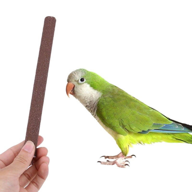 Bird Paw Grinding Stand Perches Cage Training Chew Toys For Pet Budgie Parrot 