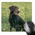 thumbnail image 1 of 3dRose - Labrador Retriever pour Chiens - Labrador Retriever Chocolat - Tapis de Souris (mp-806-1), 1 of 7