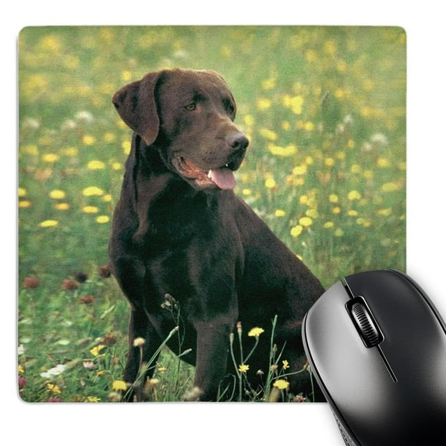 3dRose - Labrador Retriever pour Chiens - Labrador Retriever Chocolat - Tapis de Souris (mp-806-1)