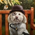 thumbnail image 3 of Heffernan, Lucia 15x15 Black Modern Framed Museum Art Print Titled - Alfie, 3 of 5