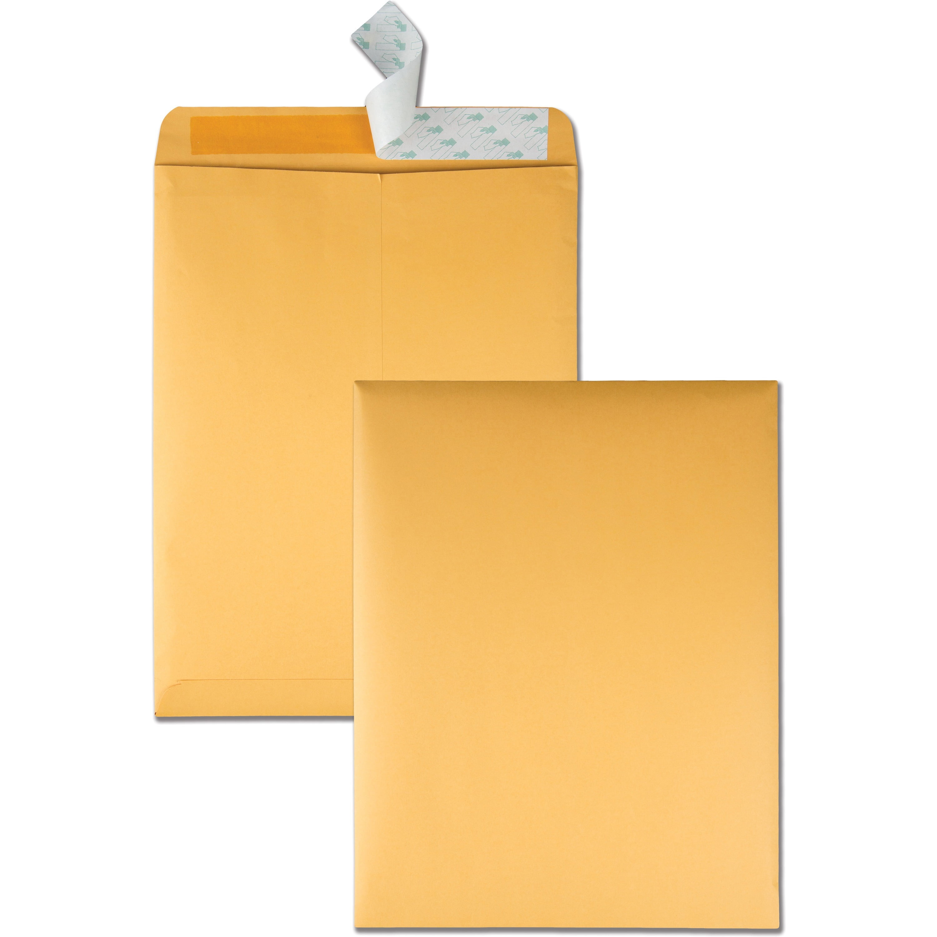 RediStrip Catalog Envelope, 13 1/2, Cheese Blade Flap, RediStrip
