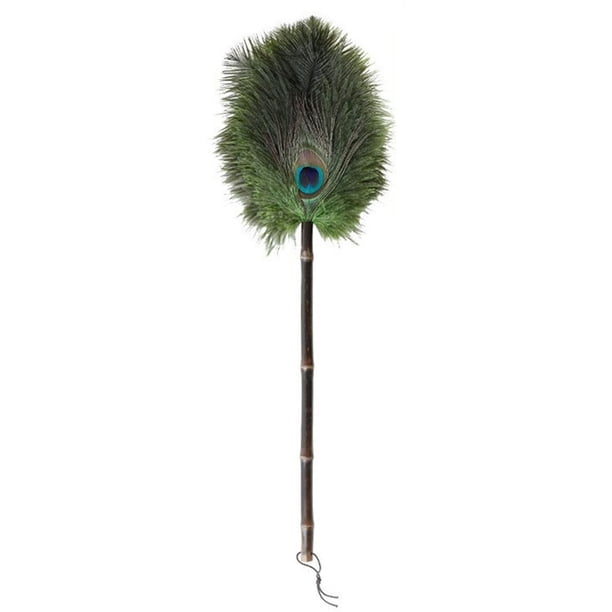 El viento del plumero entra en el pino, el pavo real, la pluma del avestruz, el polvo, el polvo, el polvo, la decoración del artefacto del hogar