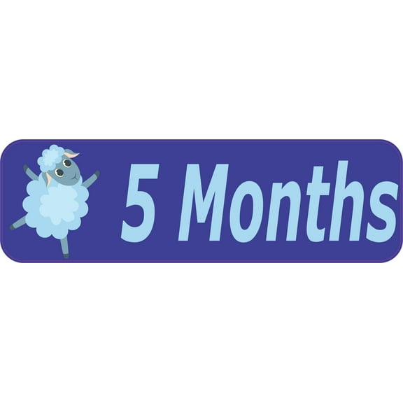 10in x 3in 5 Month Magnet Boy Door Magnetic Sign Magnets Signs