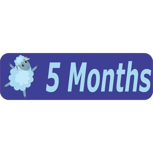 10in X 3in 5 Month Sticker Baby Boy First Year Vinyl Window Decal Stickers Walmart Com Walmart Com 10in X 3in 5 Month Sticker Baby Boy First Year Vinyl Window Decal Stickers Walmart Com Walmart Com