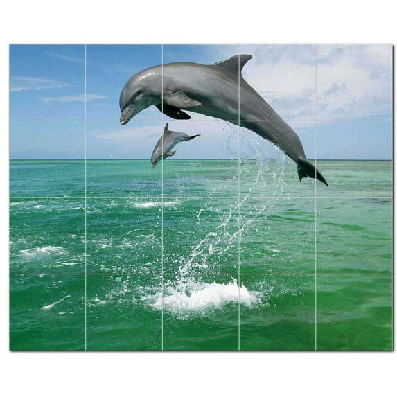 Dolphin Photo Ceramic Tile Mural Kitchen Backsplash Bathroom Shower, 404696-M54