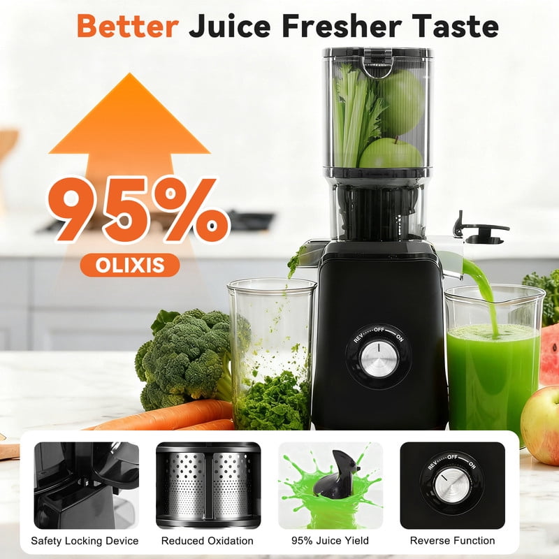 Gianna Cold Press Juicer, Masticating Juicer Machines with Wide Feed Chute, High Juice Yield and Easy to Clean for Whole Vegetables & Fruits, Black