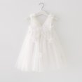 thumbnail image 5 of Lindreshi Baby Girl Clothes Toddler Kids Baby Girls Cute Summer Mesh Elegant Flower Wing Suspenders Dress Skirt, 5 of 5