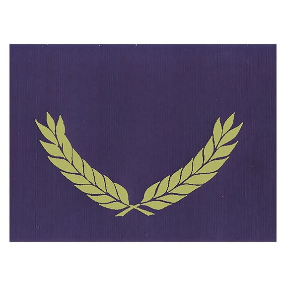 Hayes Publishing Embossed Certificate Folder, Blue, Pack of 30