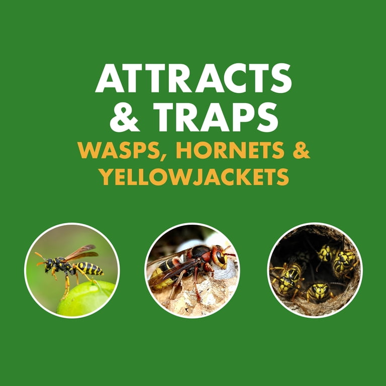Spectracide, Wasp Hornet Yellowjacket Trap Refill, 1 Count