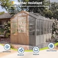 thumbnail image 5 of 6 × 10 FT Wood Greenhouse for Outdoors,Walk-in Greenhouse Kit With Polycarbonate Panels, Vent Windows and Lockable Door for Garden, Backyard, Patio, Lawn, Plant, 5 of 9